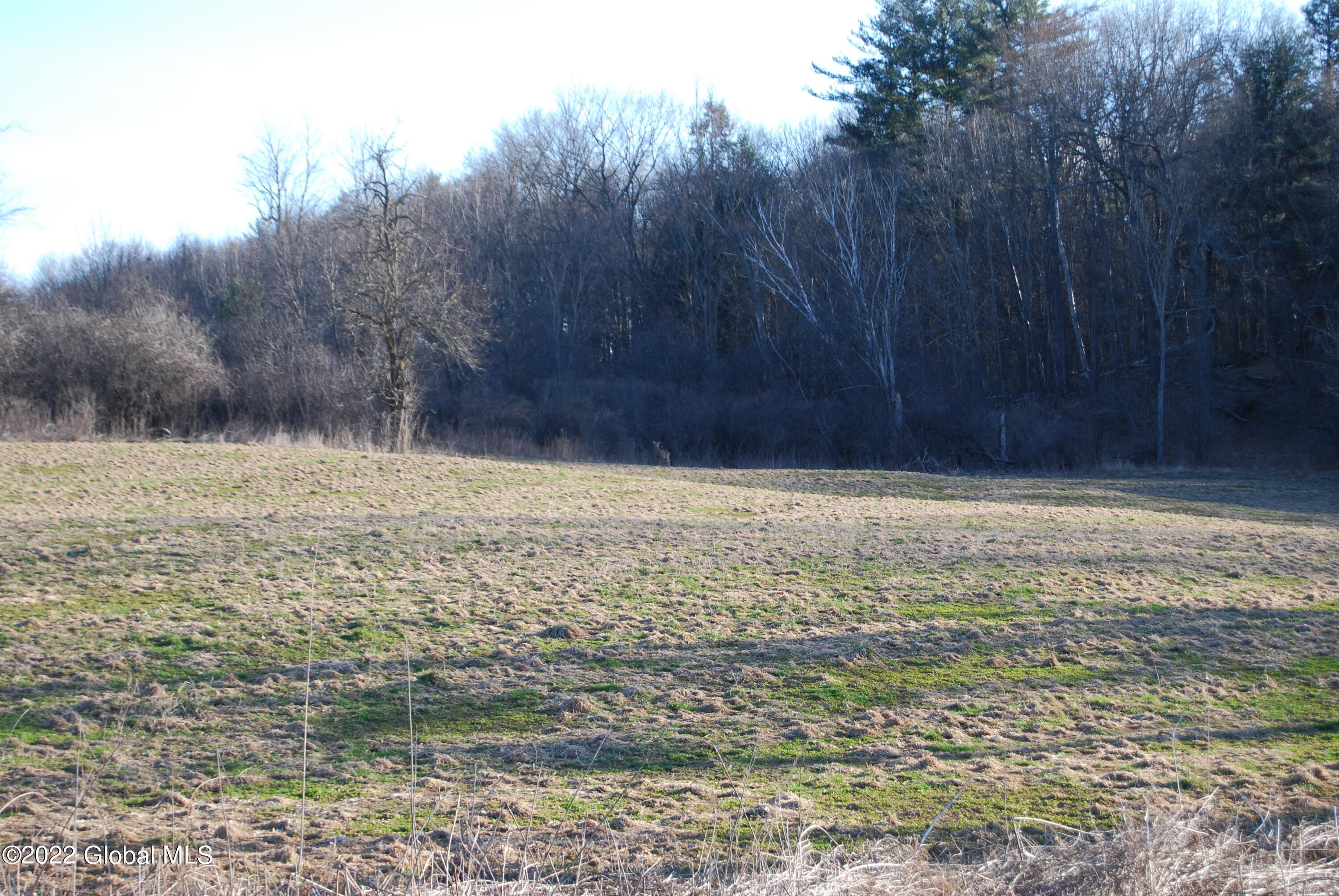 0 John Snyder Road Brunswick, NY 12180 - Photo 54 of 60 DSC_0080