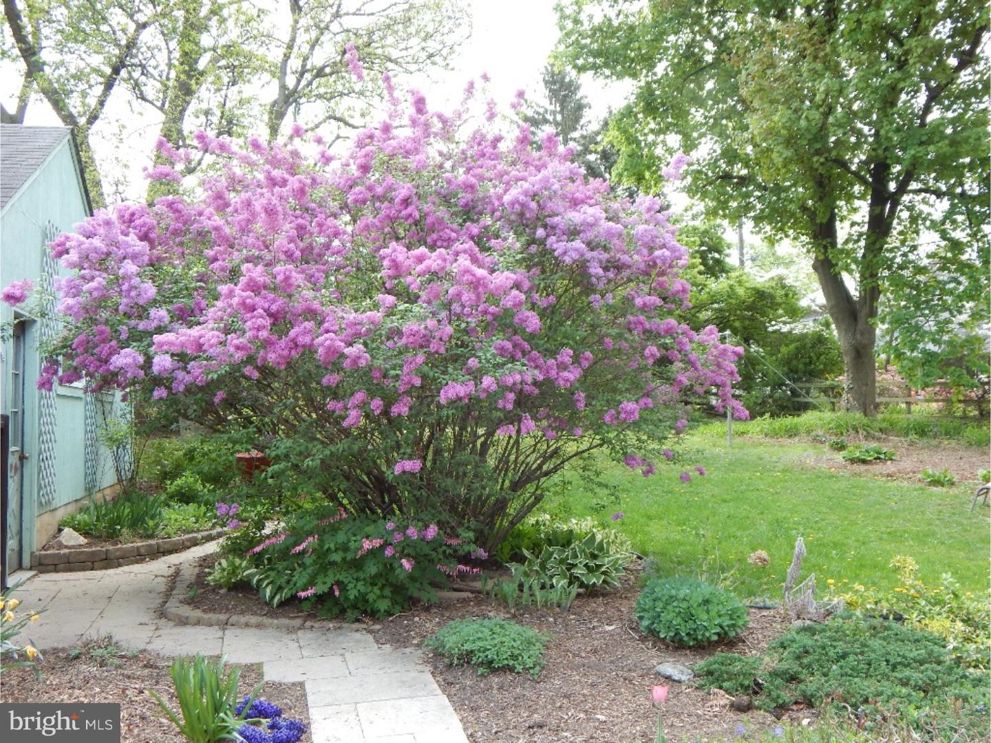 1104 Churchill Road Glenside, PA 19038 - Photo 21 of 25 Gallery Image 21