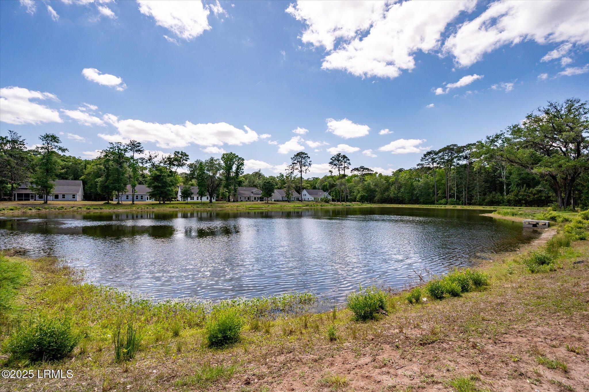 3 Alumni Road Beaufort, SC 29907 - Photo 4 of 13 079-Academy Park Lake-4