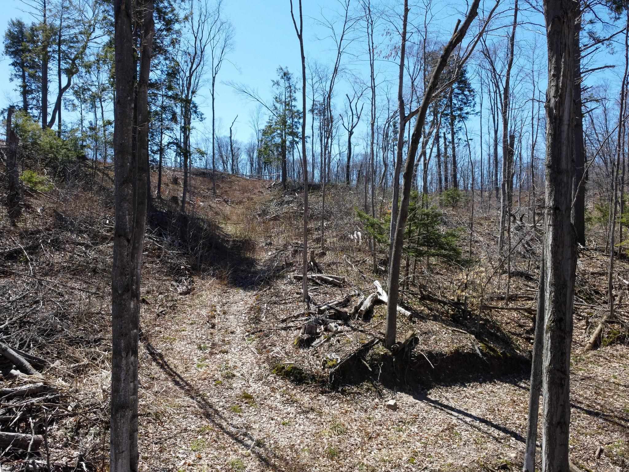0 East Smiseth Road Suttons Bay, MI 49682 - Photo 13 of 67