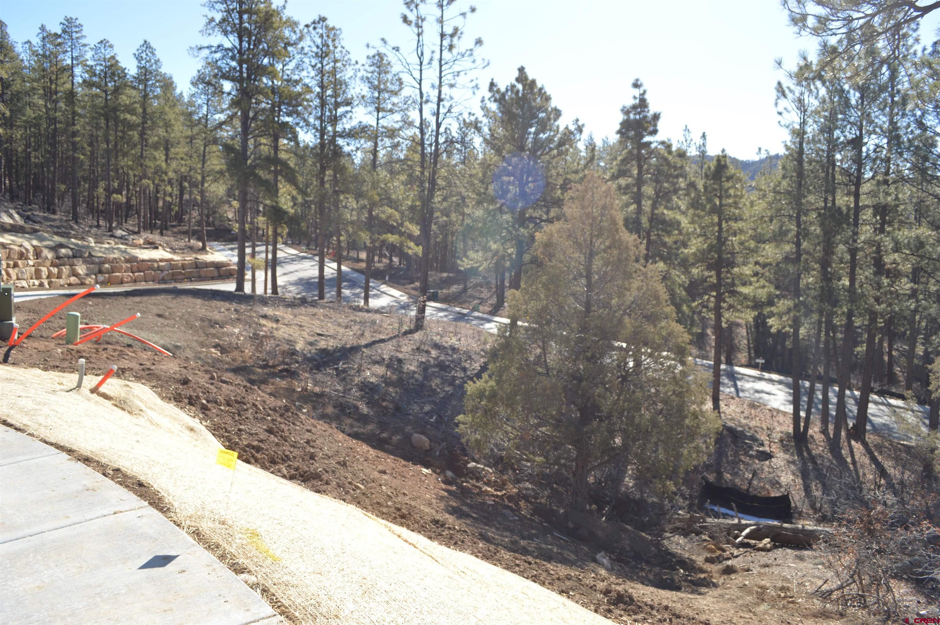 35 Snowdrop Court Durango, CO 81301 - Photo 4 of 33
