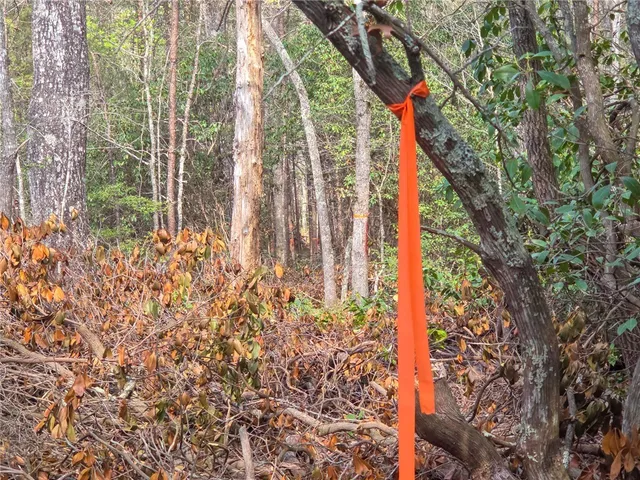 $488,800 | 0 Pumpkintown Highway, Pickens, SC 29671