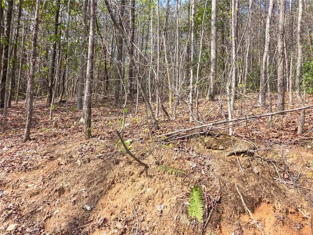 $488,800 | 0 Pumpkintown Highway, Pickens, SC 29671