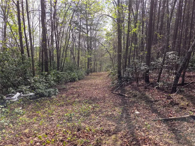 $488,800 | 0 Pumpkintown Highway, Pickens, SC 29671