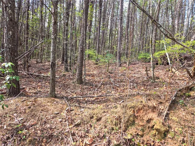 $488,800 | 0 Pumpkintown Highway, Pickens, SC 29671