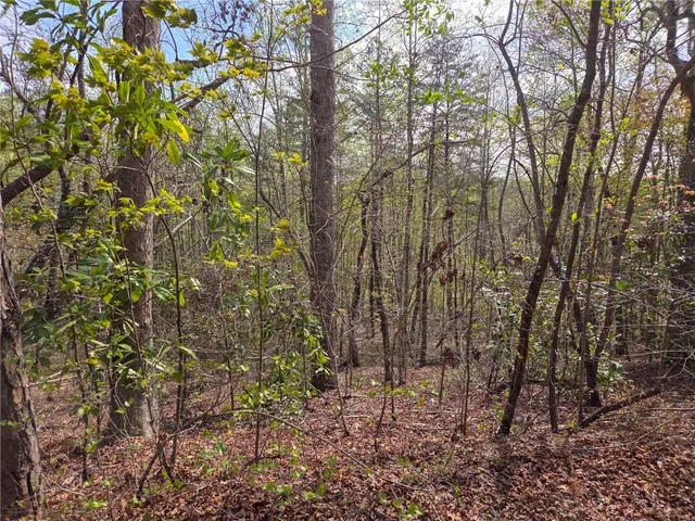 $488,800 | 0 Pumpkintown Highway, Pickens, SC 29671