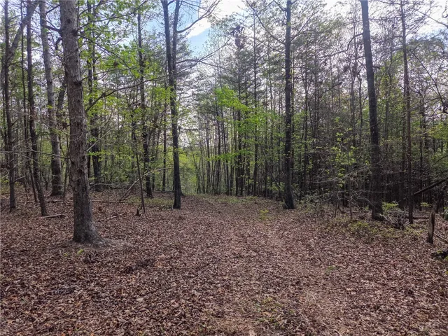 $488,800 | 0 Pumpkintown Highway, Pickens, SC 29671