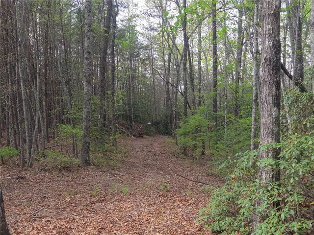 $488,800 | 0 Pumpkintown Highway, Pickens, SC 29671