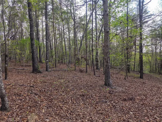 $488,800 | 0 Pumpkintown Highway, Pickens, SC 29671