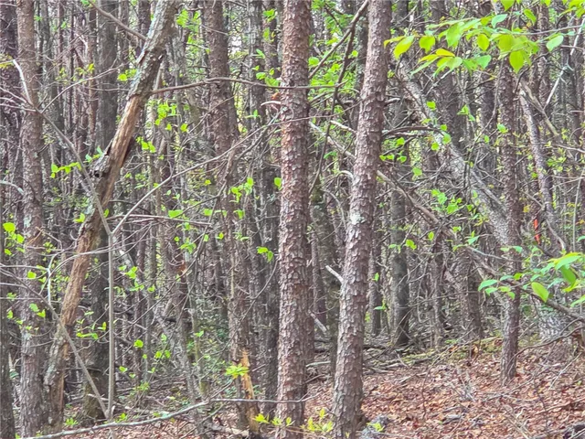 $488,800 | 0 Pumpkintown Highway, Pickens, SC 29671