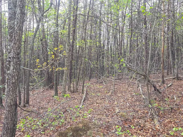 $488,800 | 0 Pumpkintown Highway, Pickens, SC 29671