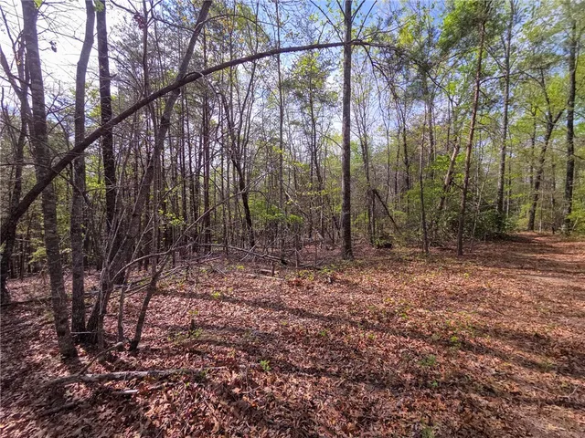 $488,800 | 0 Pumpkintown Highway, Pickens, SC 29671