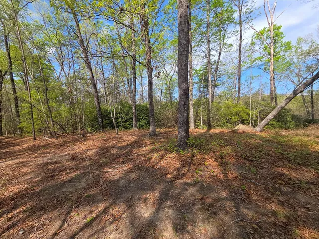 $488,800 | 0 Pumpkintown Highway, Pickens, SC 29671