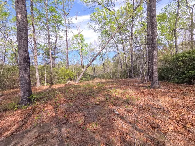 $488,800 | 0 Pumpkintown Highway, Pickens, SC 29671