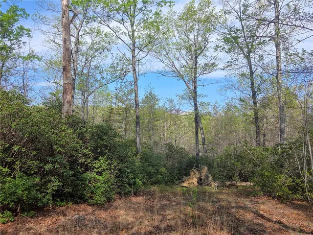 $488,800 | 0 Pumpkintown Highway, Pickens, SC 29671