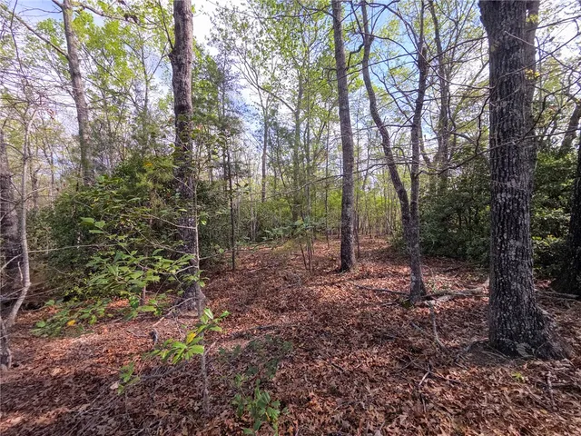 $488,800 | 0 Pumpkintown Highway, Pickens, SC 29671