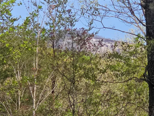 $488,800 | 0 Pumpkintown Highway, Pickens, SC 29671