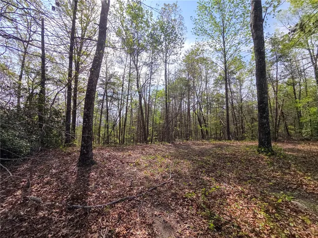 $488,800 | 0 Pumpkintown Highway, Pickens, SC 29671