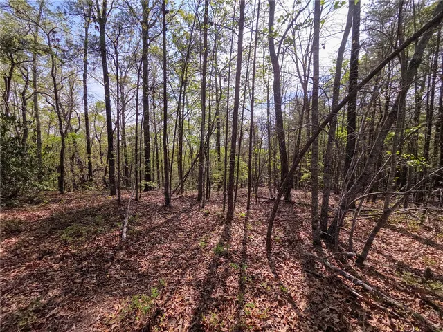 $488,800 | 0 Pumpkintown Highway, Pickens, SC 29671