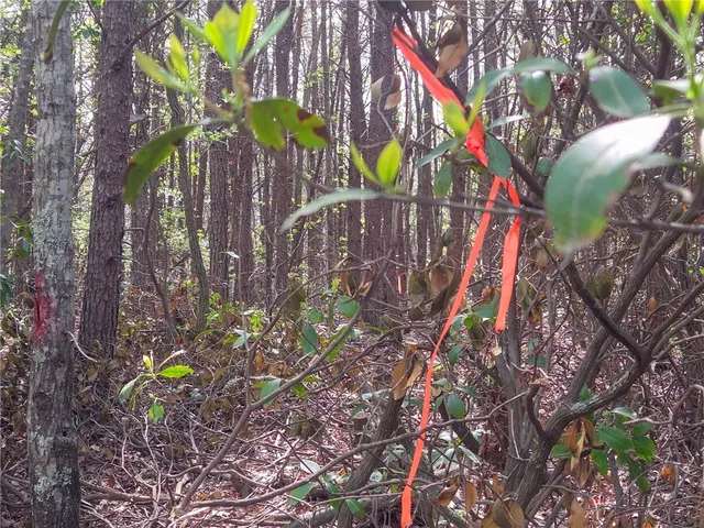 $488,800 | 0 Pumpkintown Highway, Pickens, SC 29671