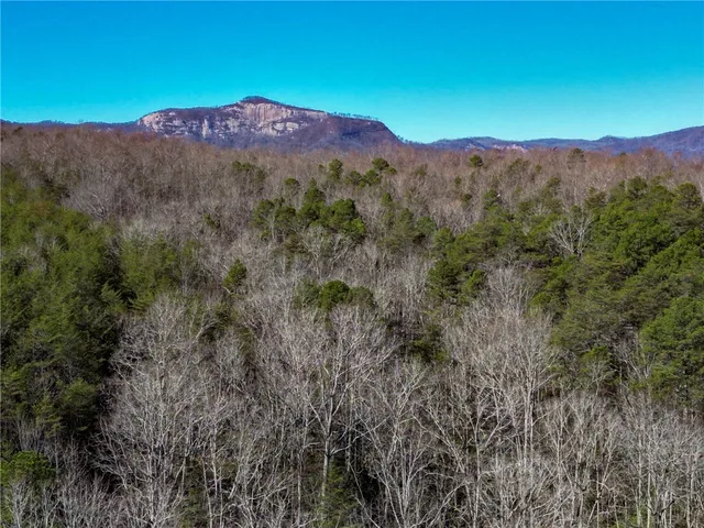 $488,800 | 0 Pumpkintown Highway, Pickens, SC 29671