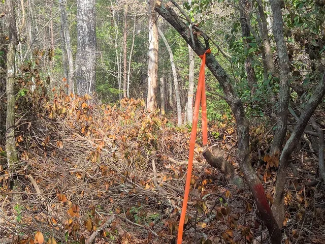 $488,800 | 0 Pumpkintown Highway, Pickens, SC 29671