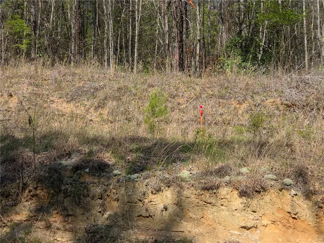 $488,800 | 0 Pumpkintown Highway, Pickens, SC 29671