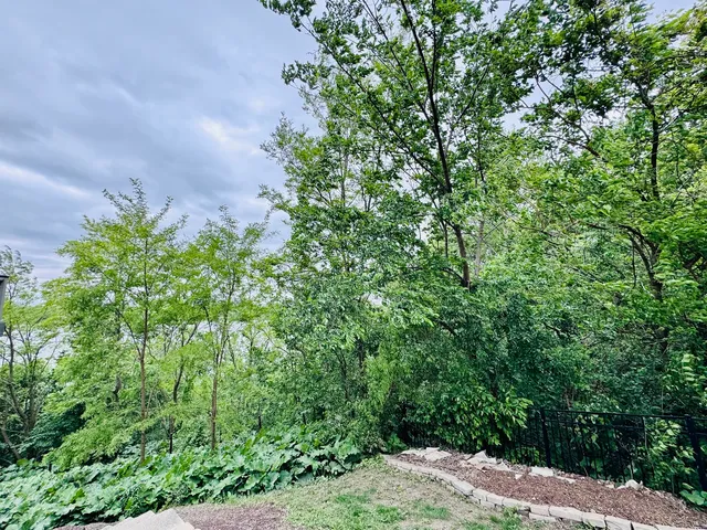 $50,000 | 26628 South Kimberly Lane, Channahon, IL 60410