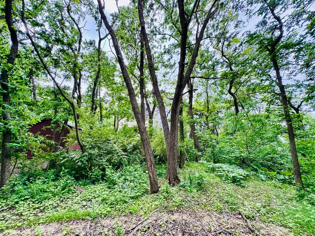 $50,000 | 26628 South Kimberly Lane, Channahon, IL 60410