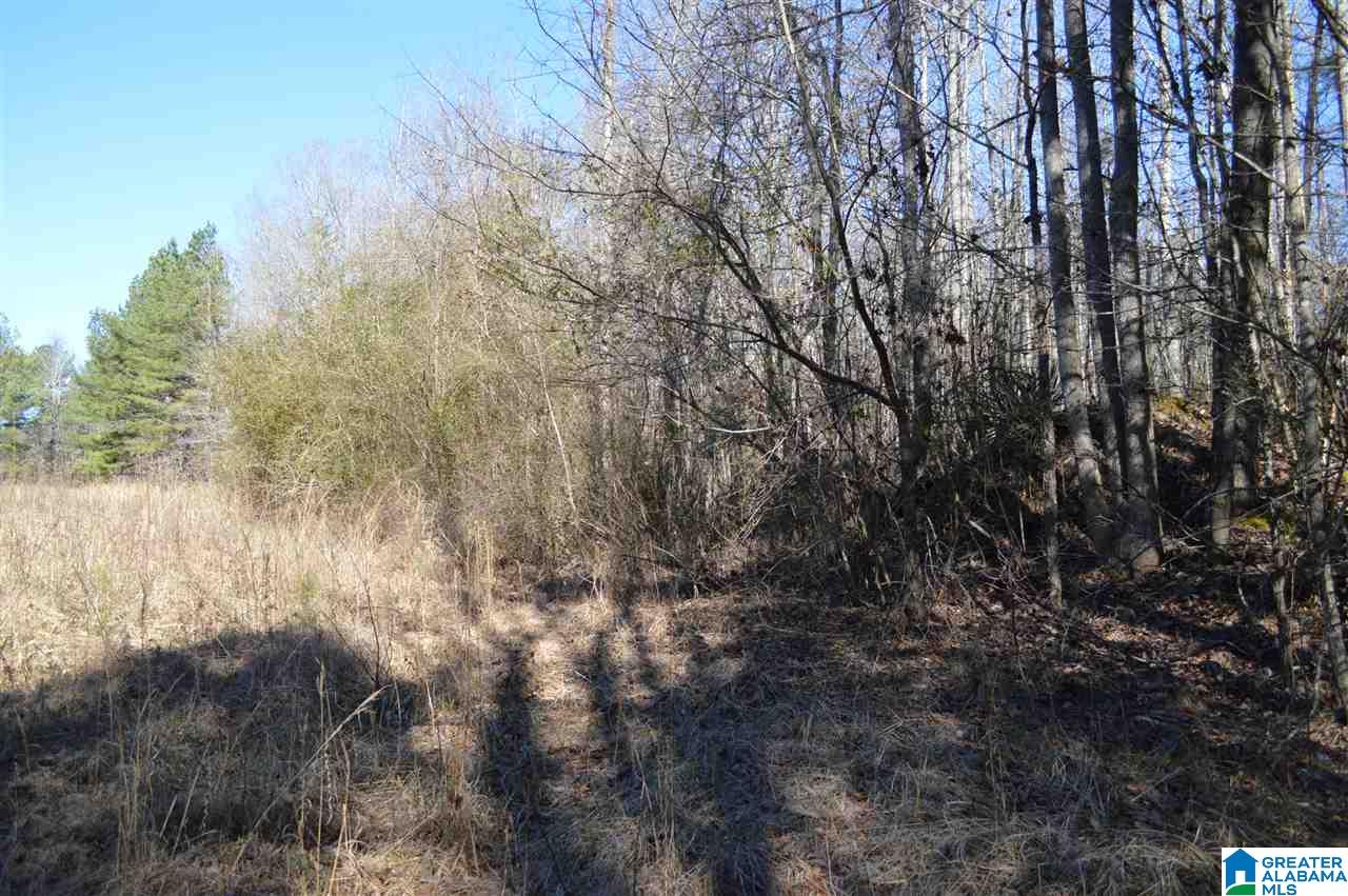 1900 Sanie Road Odenville, AL 35120 - Photo 46 of 48