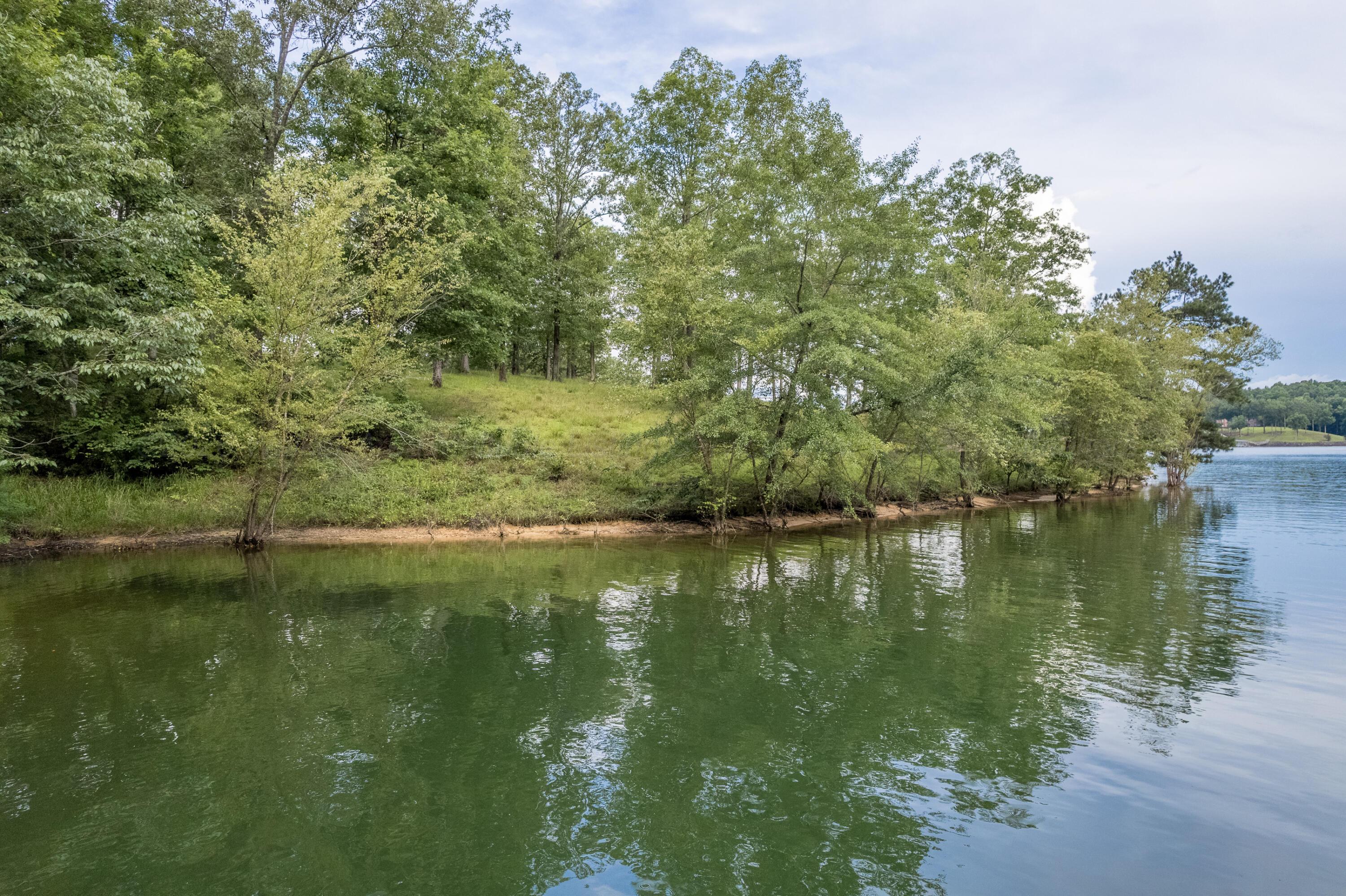 2 Sipsey Pines Road Arley, AL 35541 - Photo 7 of 27 Gallery Image 7