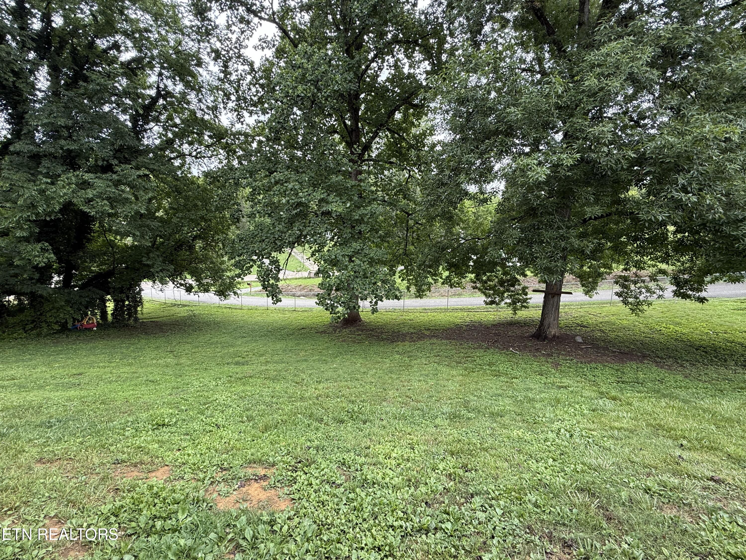 2005 Neubert Road Knoxville, TN 37914 - Photo 3 of 38 IMG_2586
