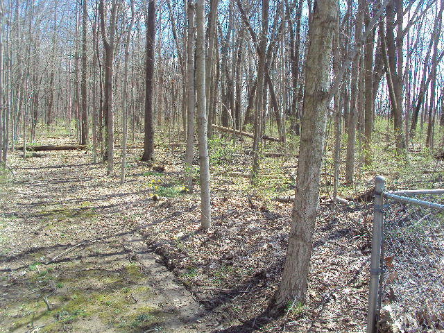 11984 North Diamond Mill Road Englewood, OH 45322 - Photo 8 of 33