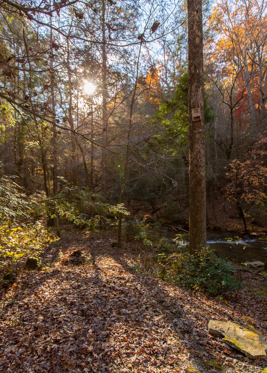6401 Sawyer Road Signal Mountain, TN 37377 - Photo 60 of 60 Gallery Image 60