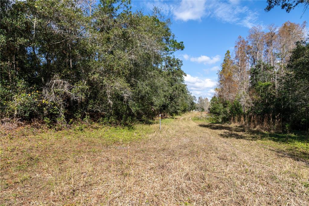 0 Tarpon Springs Road Odessa, FL 33556 - Photo 13 of 16