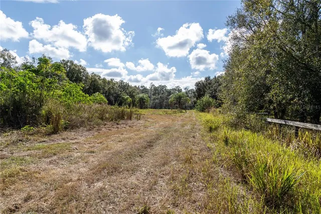 $3,499,999 | 11560 Tarpon Springs Road, Odessa, FL 33556