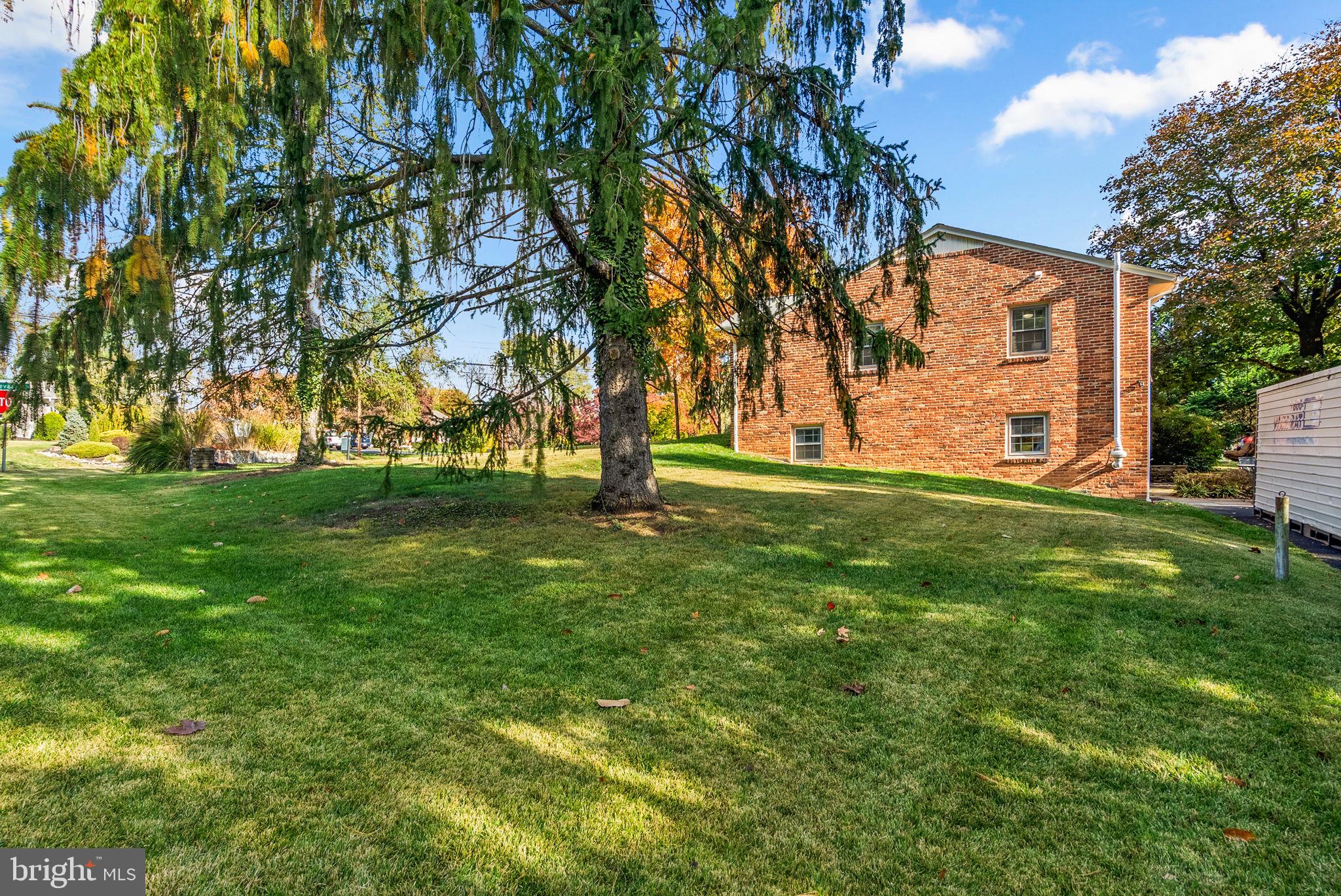 14530 Sturtevant Road Silver Spring, MD 20905 - Photo 41 of 47 a view of yard with trees
