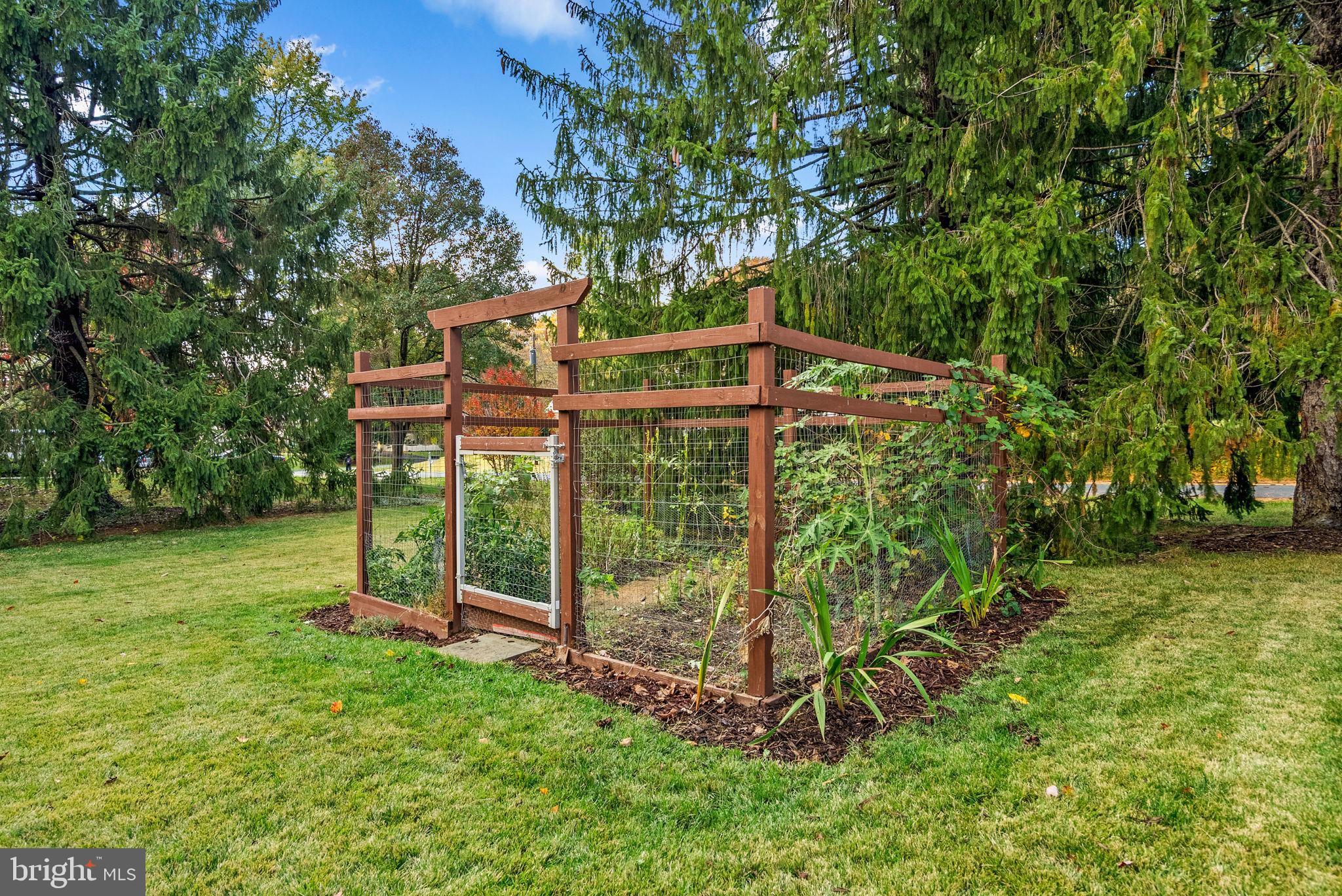 14530 Sturtevant Road Silver Spring, MD 20905 - Photo 47 of 47 a view of a backyard