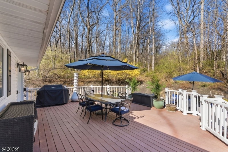 97 Mt Rascal Road Hackettstown, NJ 07840 - Photo 36 of 44