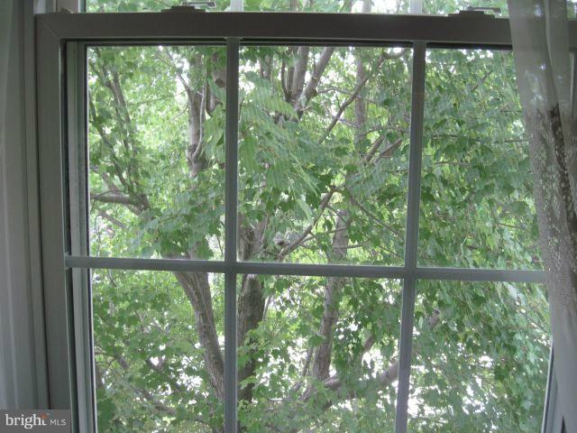 131 Fort Evans Road Southeast, Unit E Leesburg, VA 20175 - Photo 16 of 23 Private Woodsy Bedroom View