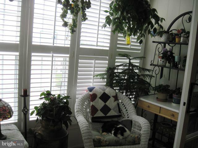 131 Fort Evans Road Southeast, Unit E Leesburg, VA 20175 - Photo 18 of 23 Wood Blinds Convey