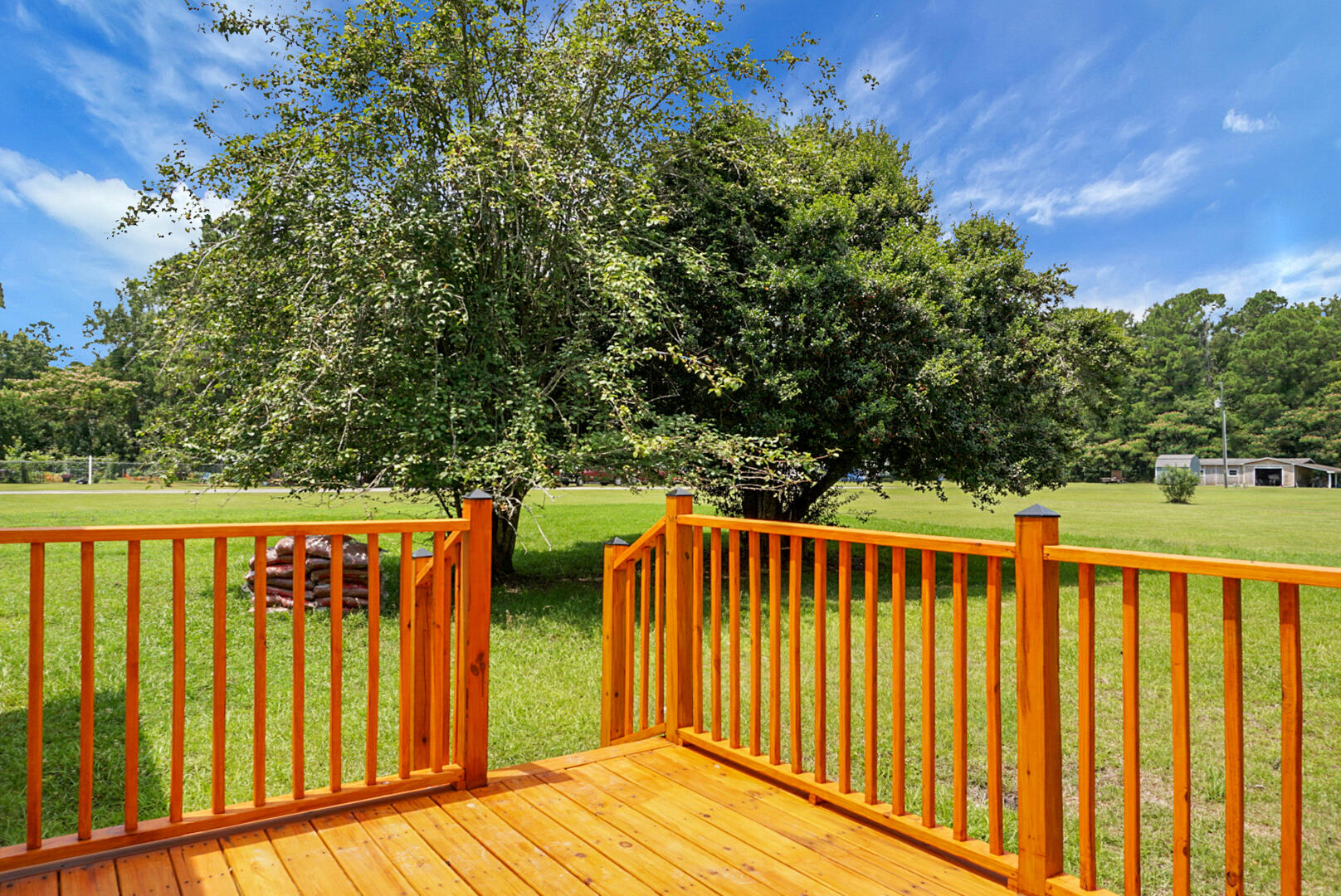 1393 Harristown Road Bonneau, SC 29431 - Photo 46 of 57 DSC06447