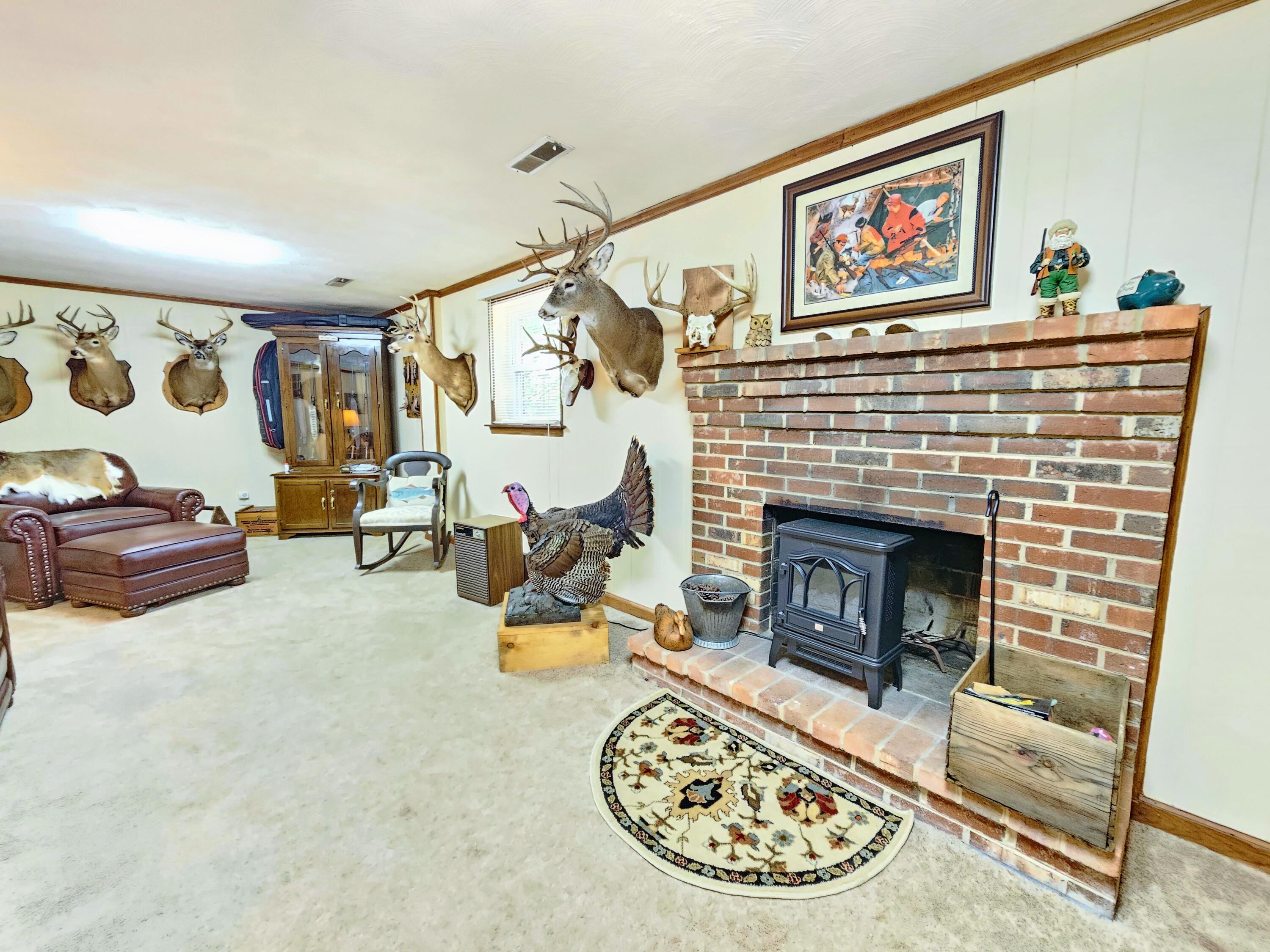 593 Sherwood Drive Blue Ridge, VA 24064 - Photo 18 of 26 Family Room Fireplace