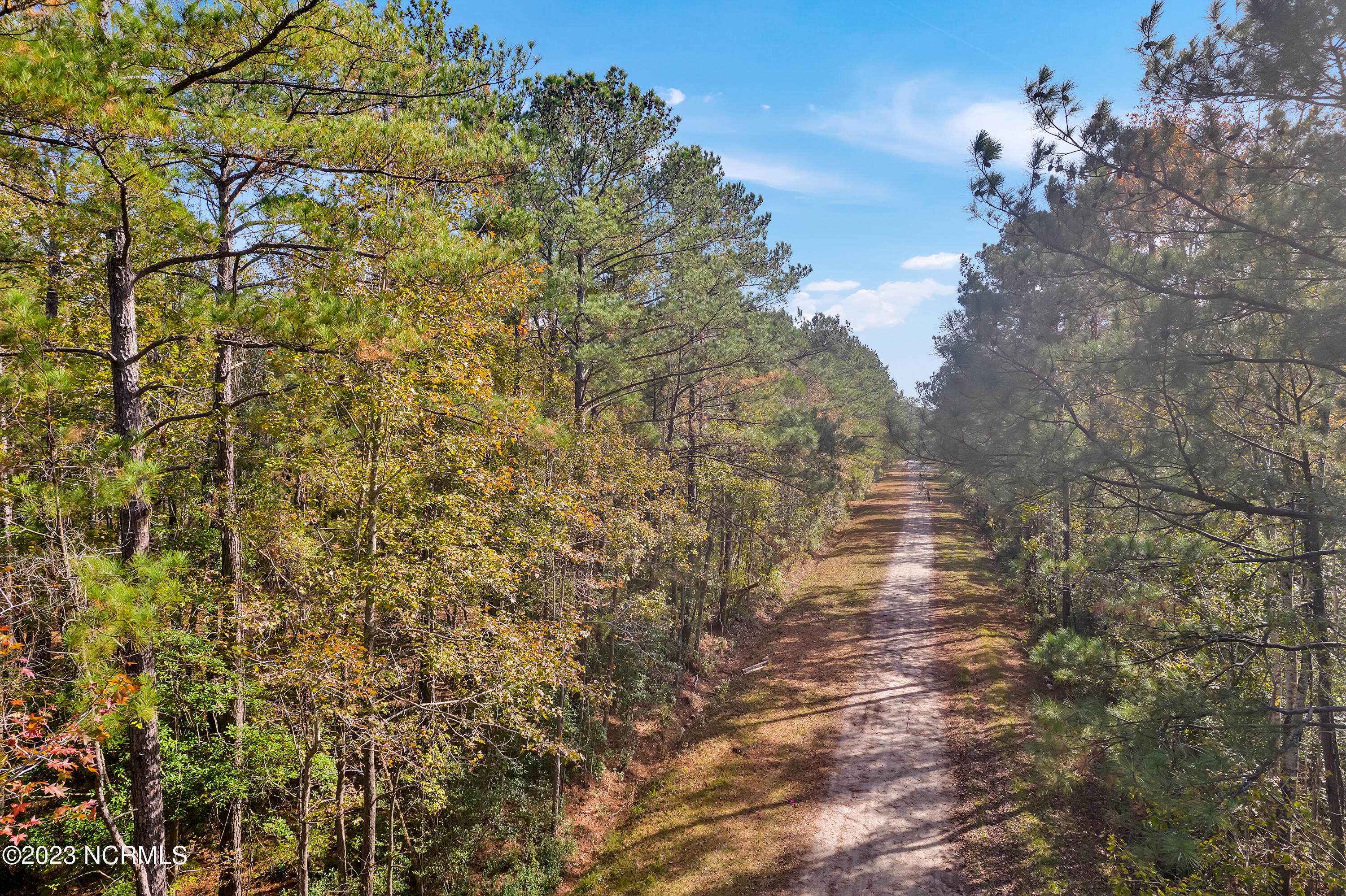 450-460 Revere Road Southport, NC 28461 - Photo 3 of 5 Road View-Revere Rd.
