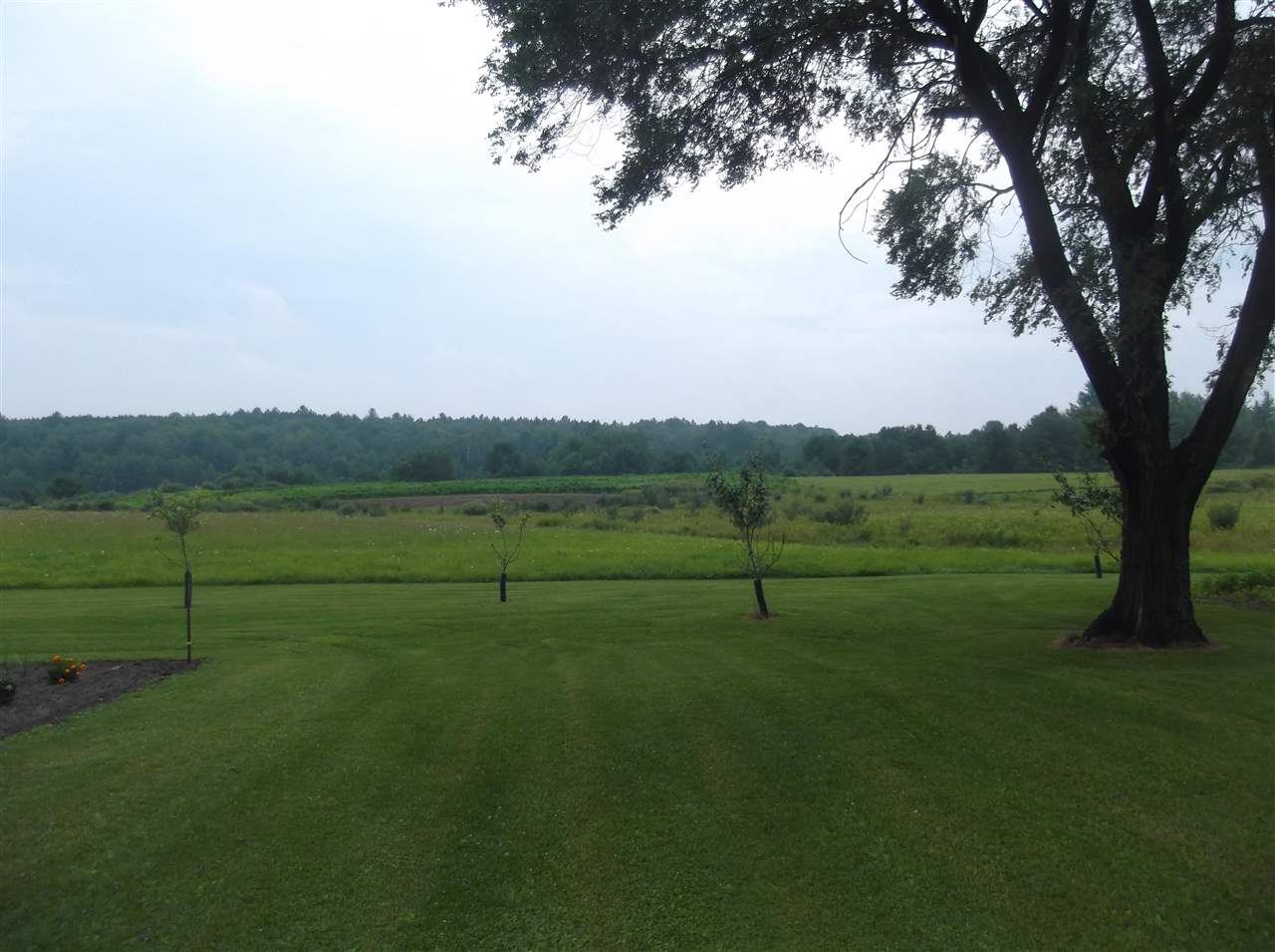 5540 Taber Road South Branch, MI 48761 - Photo 56 of 61 1890785-55.JPG