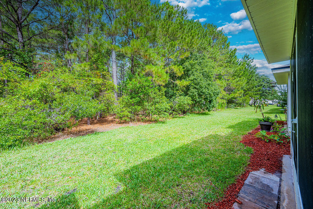 8683 Ribbon Falls Lane Jacksonville, FL 32244 - Photo 32 of 43 a view of yard with green space