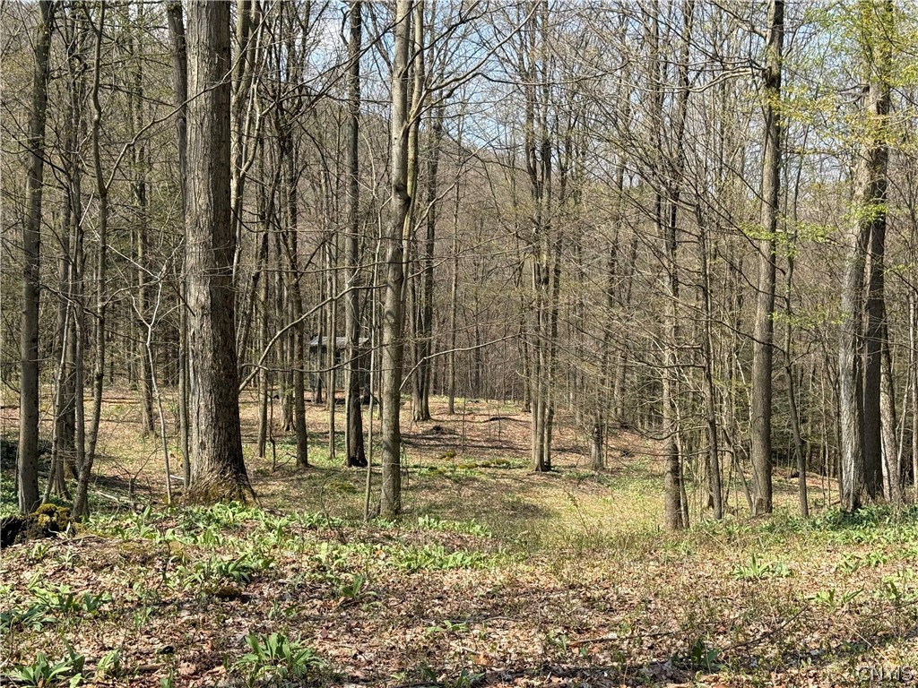 6437 West Scott Road Scott, NY 13077 - Photo 27 of 31