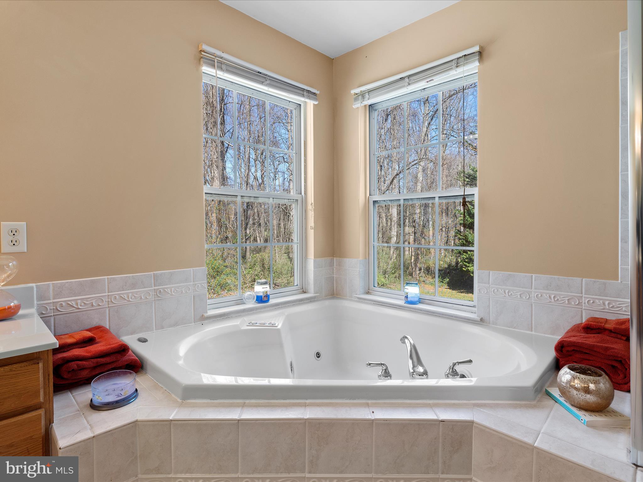 9317 Old Court Road Baltimore, MD 21244 - Photo 20 of 36 Primary Bathroom