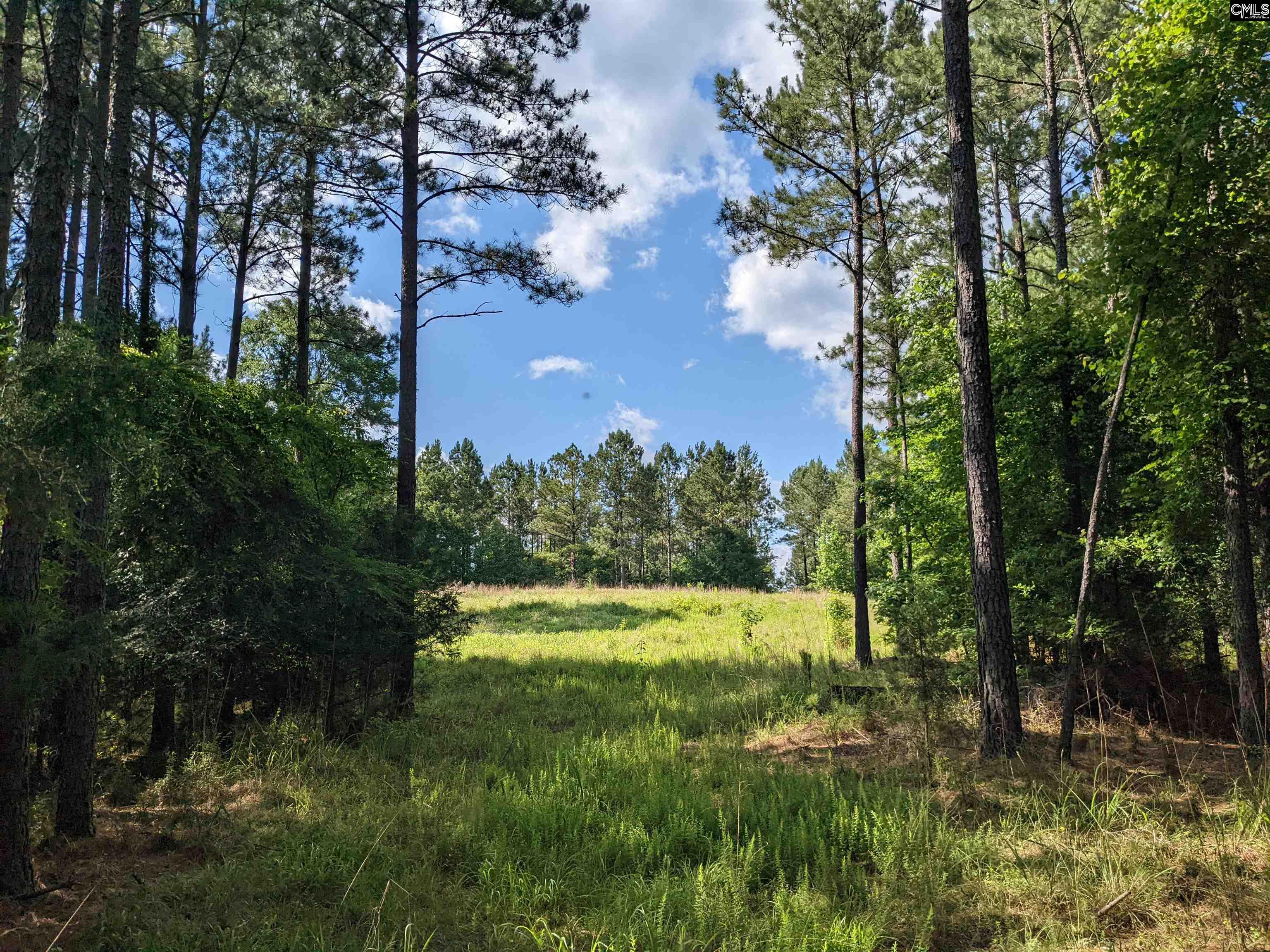Old Hillcrest School Road Winnsboro, SC 29180 - Photo 24 of 95