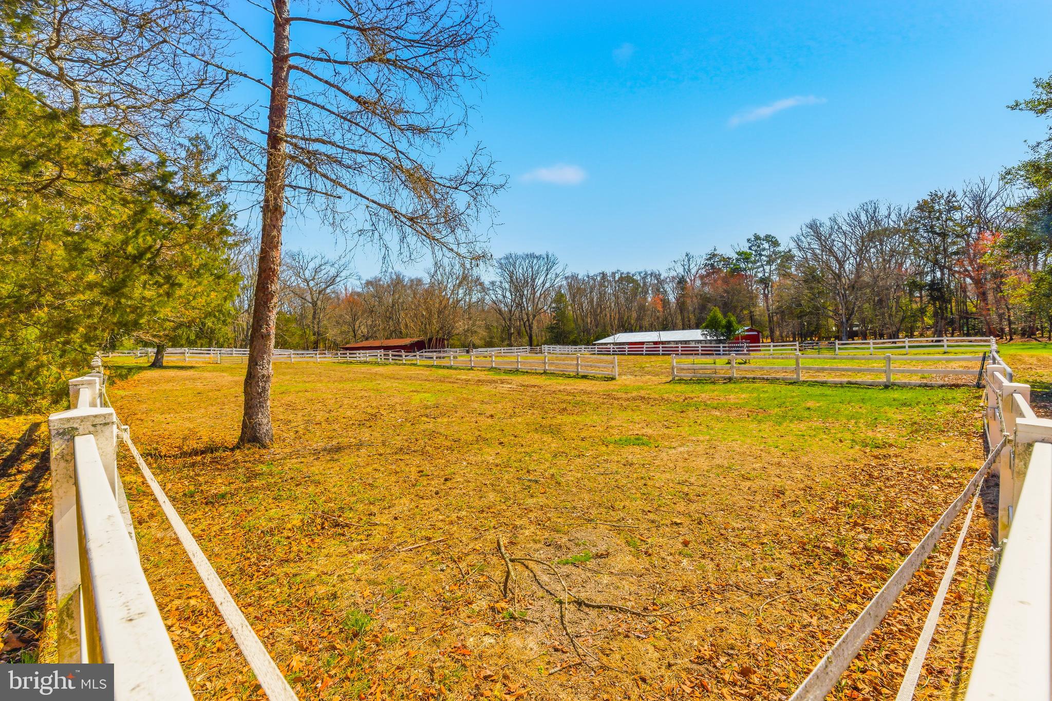 8 Butterworths Bogs Road Tabernacle, NJ 08088 - Photo 24 of 29